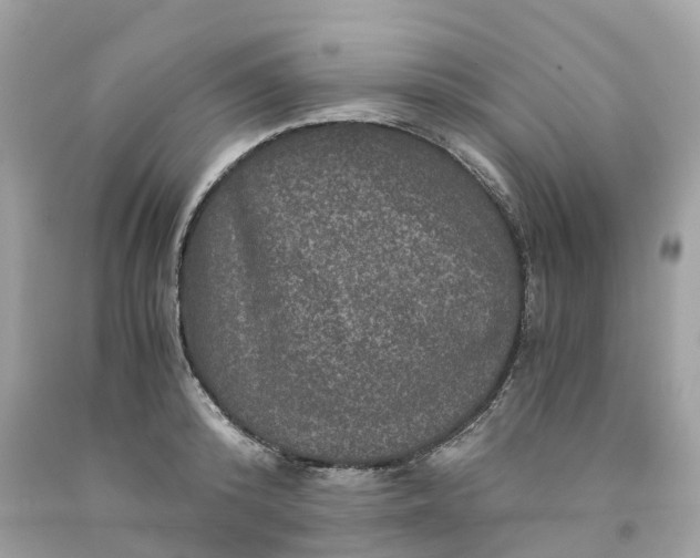 X0000091480800200709061838