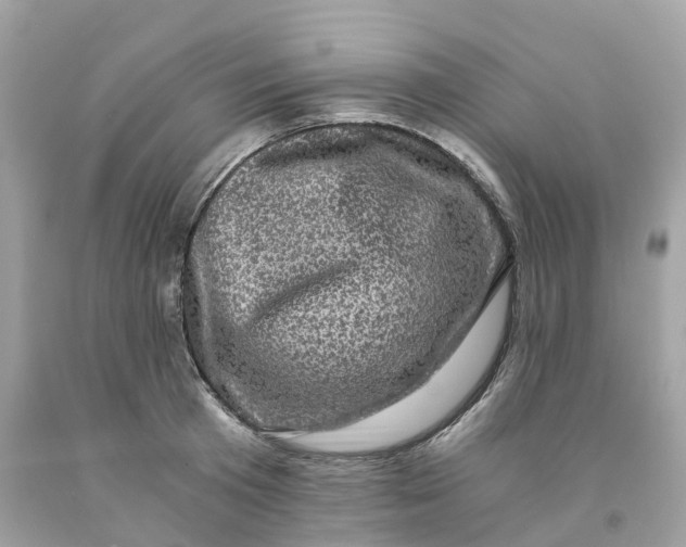 X0000091480801200709061838