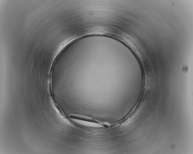 X0000091480802200709061838