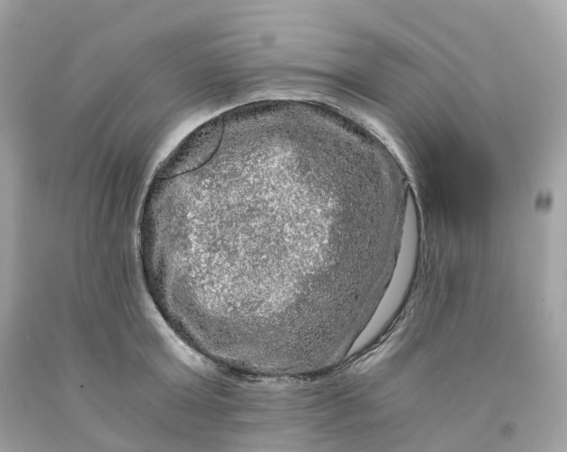 X0000091480803200709061838