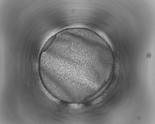 X0000091480805200709061838