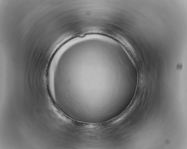 X0000091480806200709061838