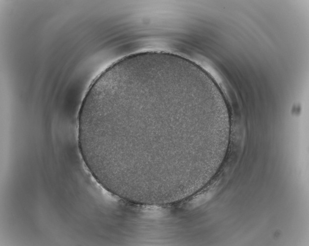 X0000091480807200709061838