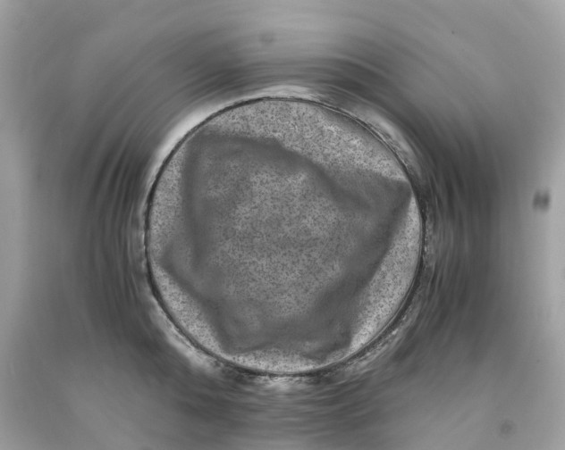 X0000091480808200709061838