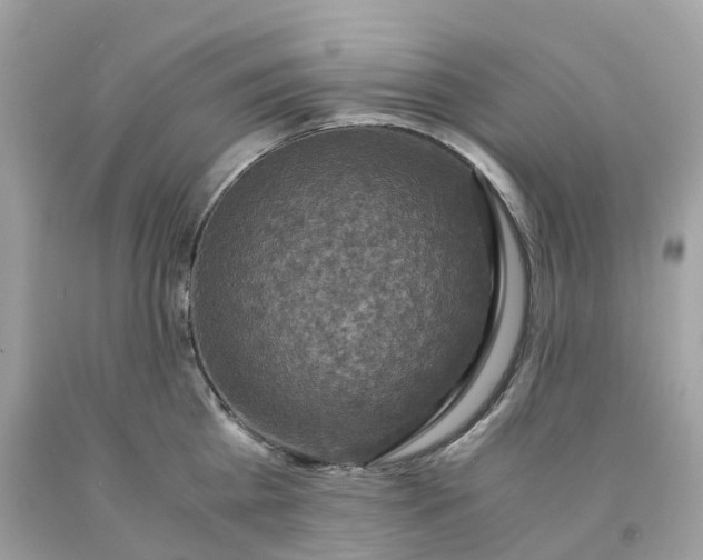 X0000091480809200709061838