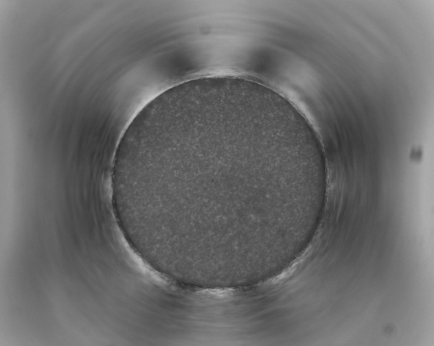 X0000091480810200709061838