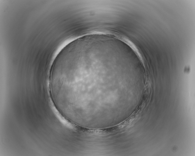 X0000091480811200709061838