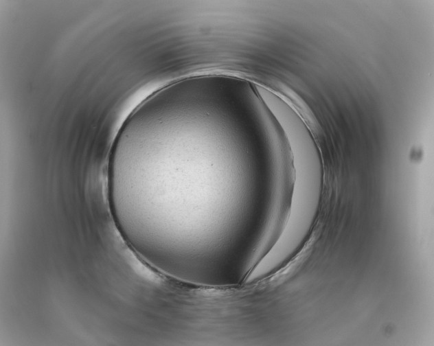 X0000091480812200709061838