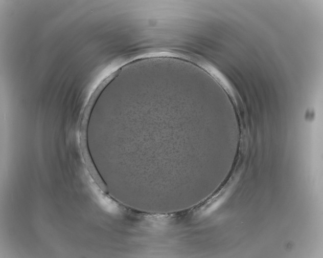 X0000091480813200709061838