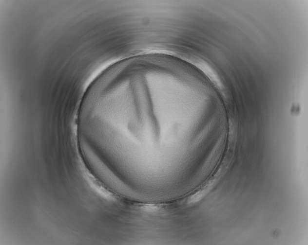 X0000091480814200709061838