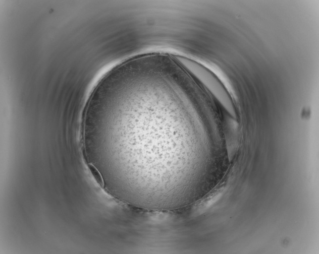 X0000091480815200709061838