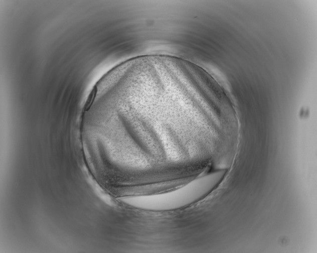 X0000091480816200709061838