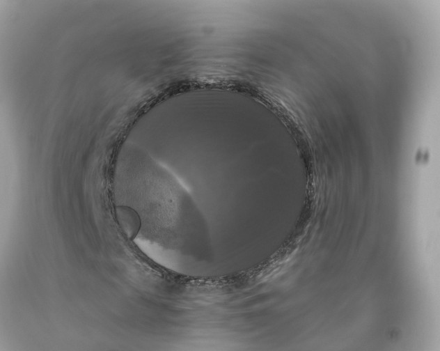 X0000091480817200709061837