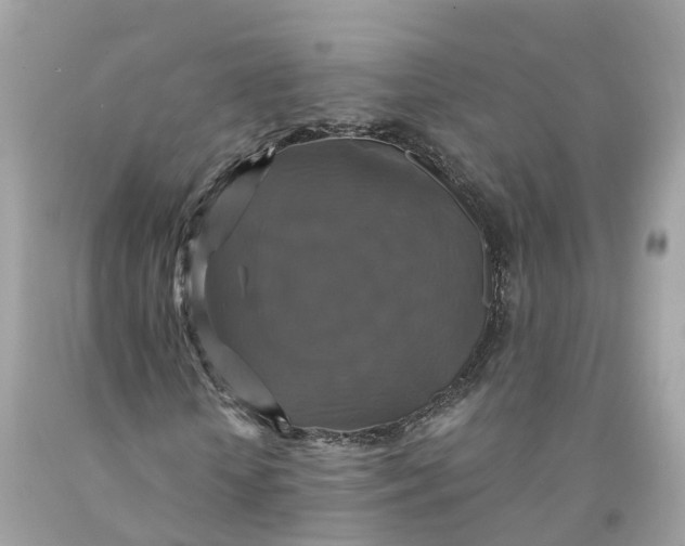 X0000091480818200709061837