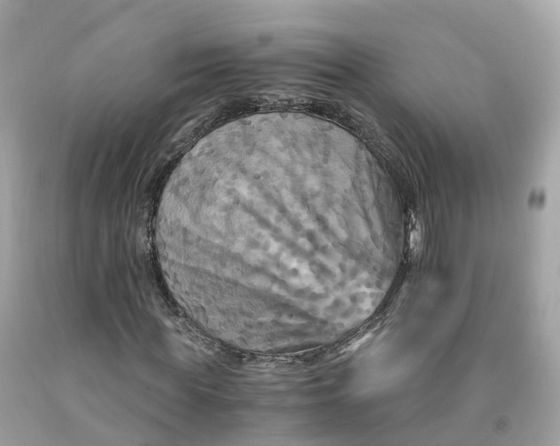 X0000091480819200709061837