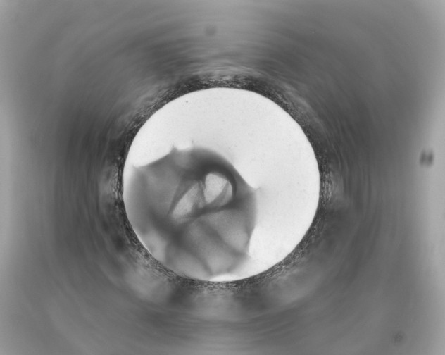 X0000091480820200709061837