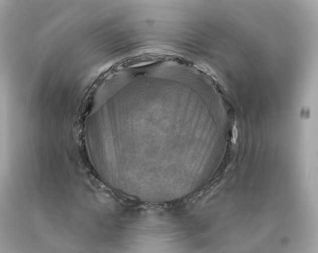 X0000091480822200709061837