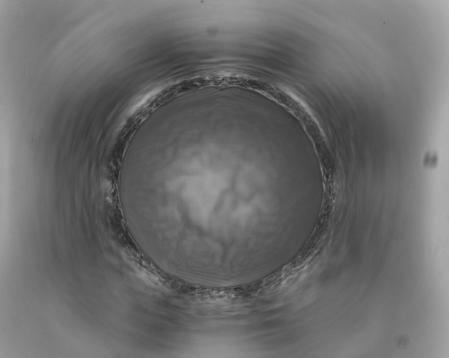 X0000091480823200709061837