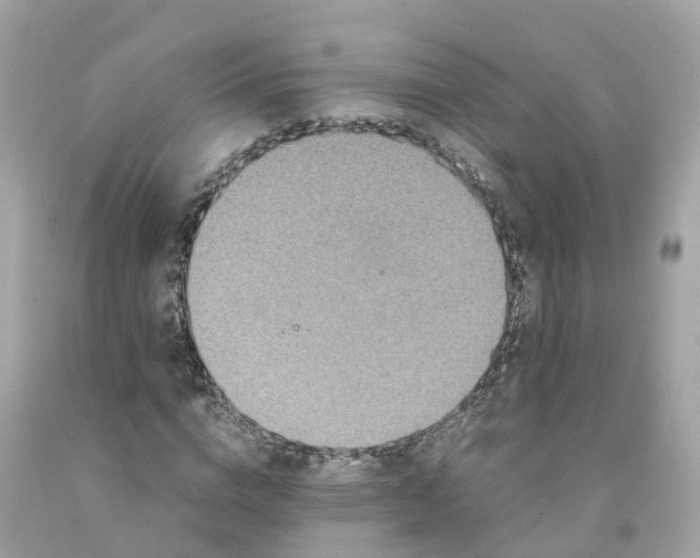 X0000091480824200709061837