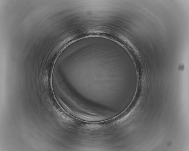 X0000091480825200709061837