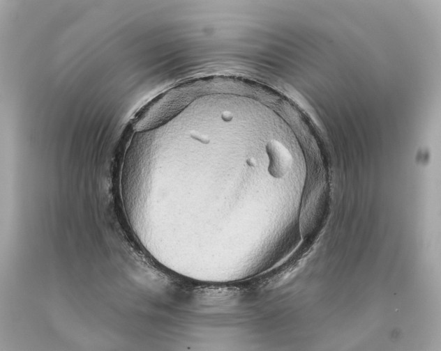 X0000091480826200709061837