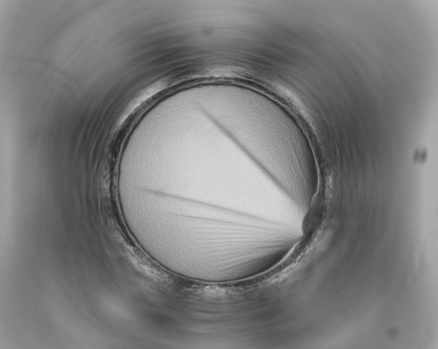 X0000091480827200709061837