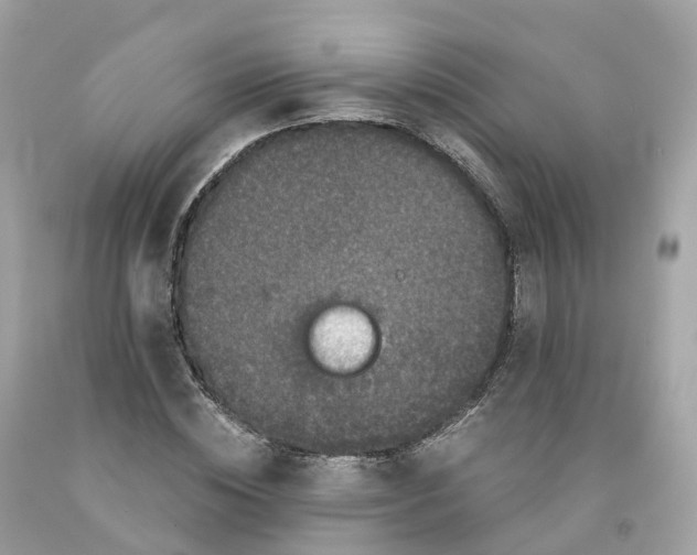 X0000091480828200709061837