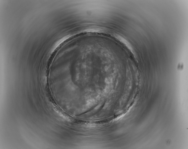 X0000091480829200709061837