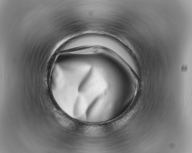 X0000091480830200709061837