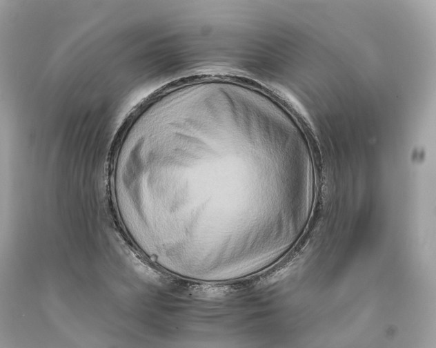 X0000091480831200709061837