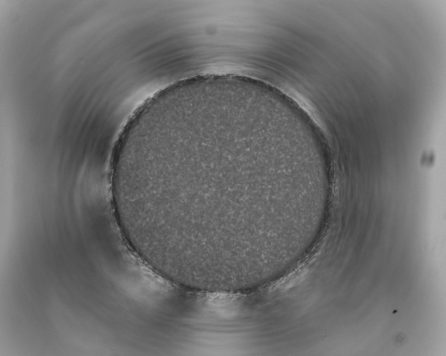 X0000091480832200709061837