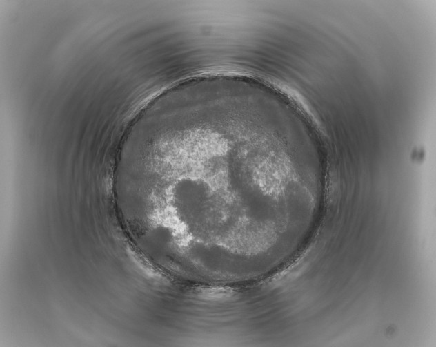 X0000091480833200709061837