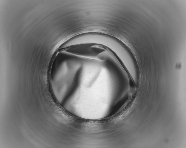 X0000091480834200709061837