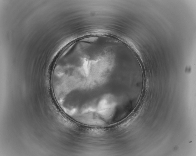 X0000091480835200709061837