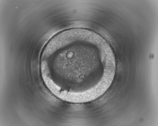 X0000091480836200709061837