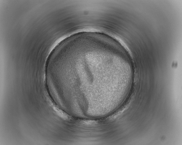 X0000091480837200709061837