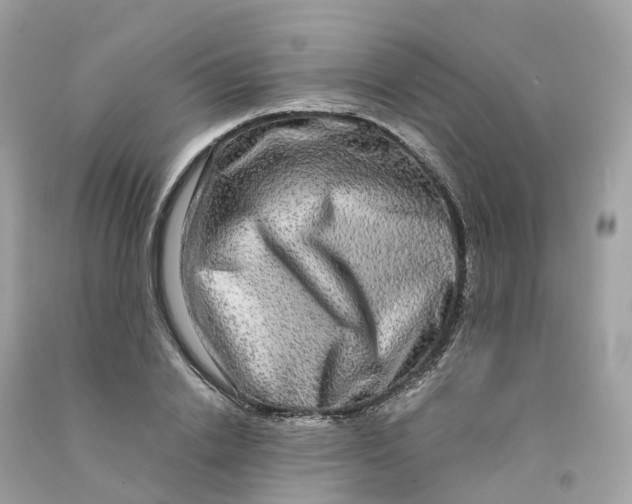 X0000091480838200709061837