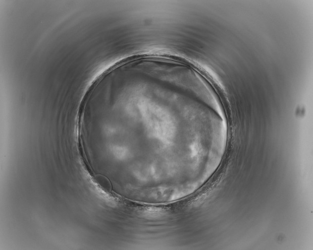 X0000091480839200709061837