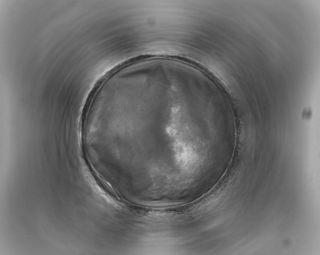 X0000091480840200709061837