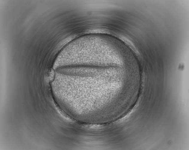 X0000091480841200709061837