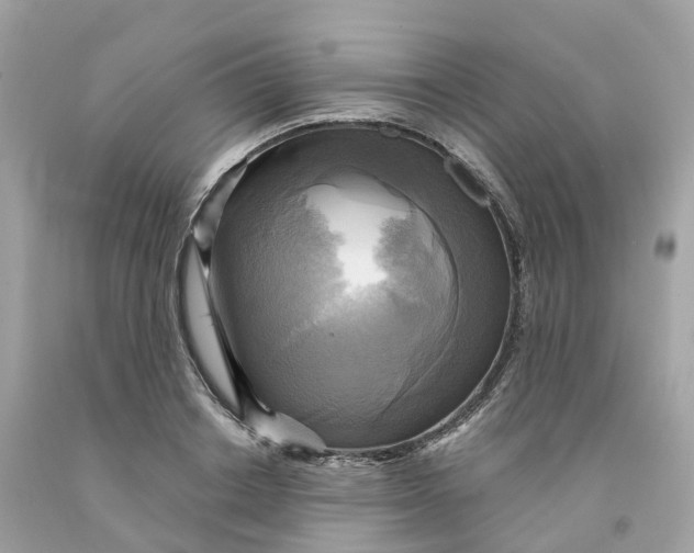 X0000091480842200709061837