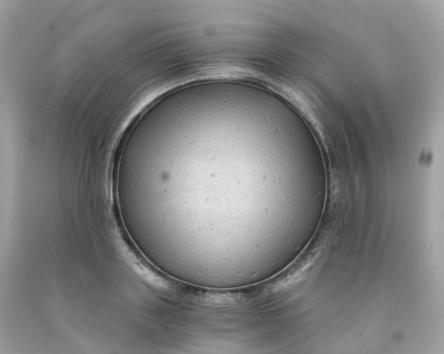 X0000091480843200709061837