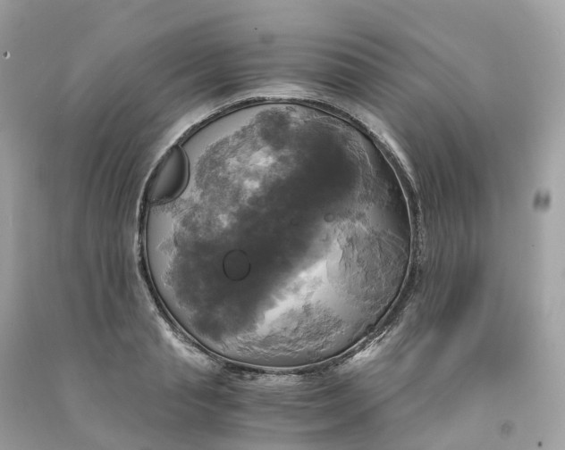 X0000091480845200709061837