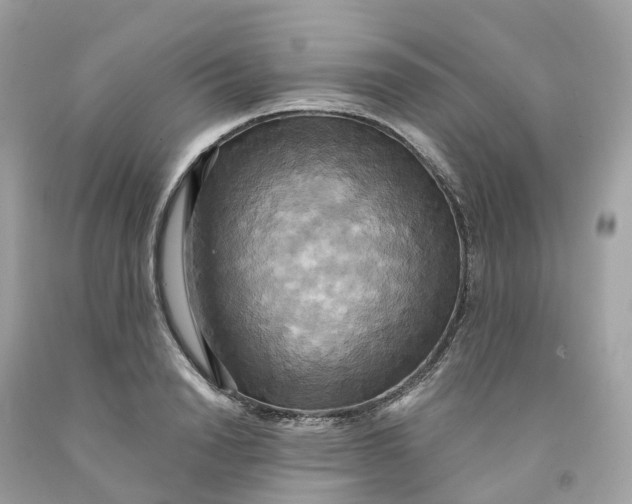 X0000091480846200709061838