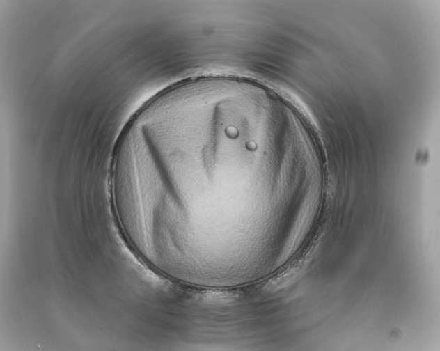 X0000091480847200709061838