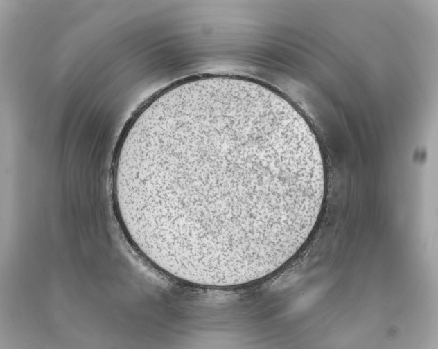 X0000091480848200709061838