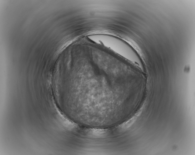 X0000091480849200709061838