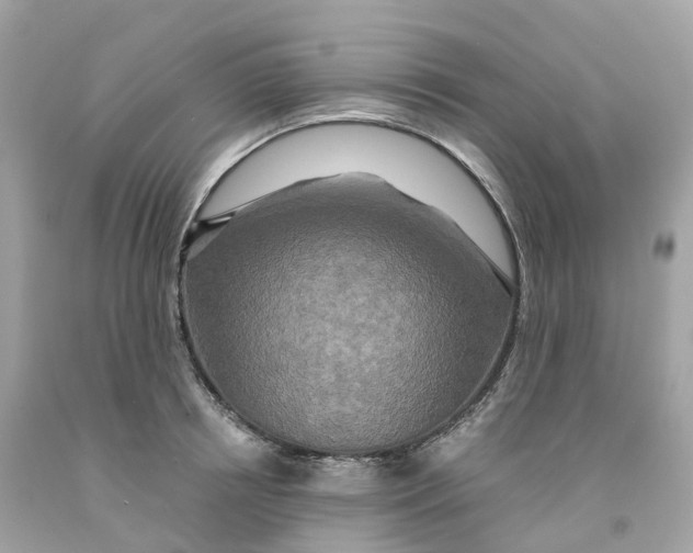 X0000091480850200709061838