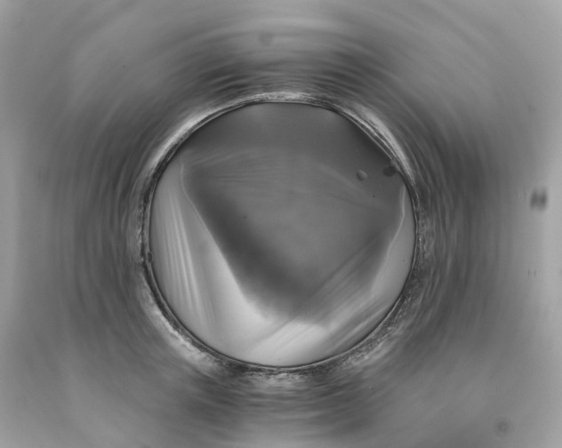 X0000091480851200709061838