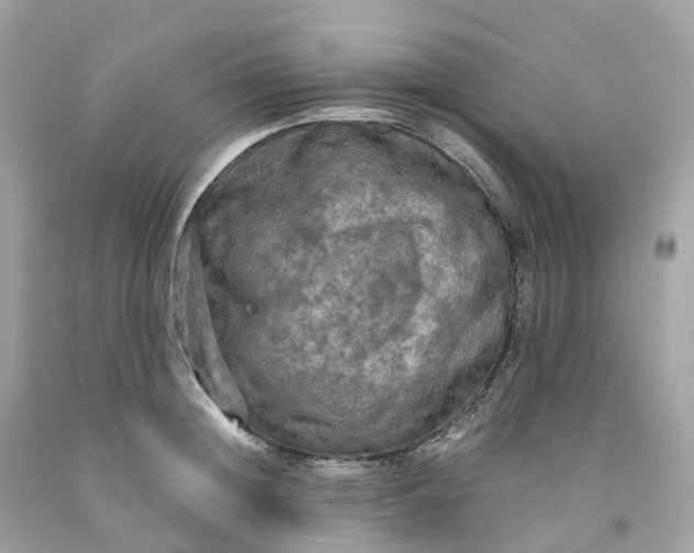 X0000091480852200709061838